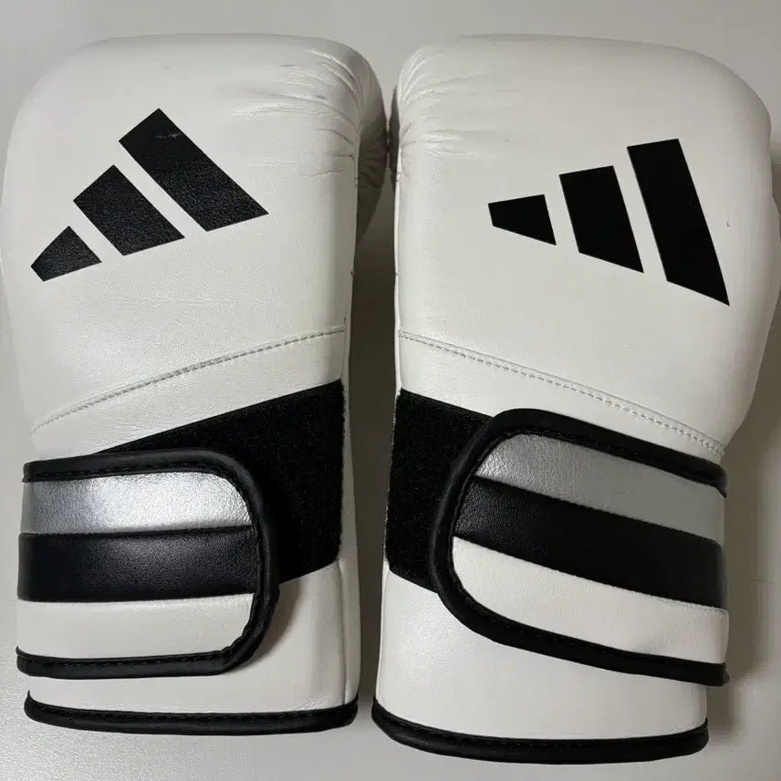 [BUNJANG] Speed 501 Velcro Boxing Gloves (White, 12oz) / 스피드 501 벨크로 - 화이트
