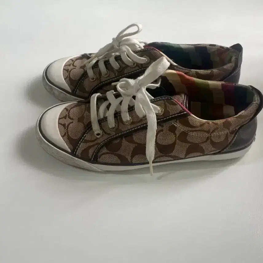 [BUNJANG] Coach Natural Leather Sneakers Size 8 / [250] 코치 스니커즈 천연가죽 사이즈8