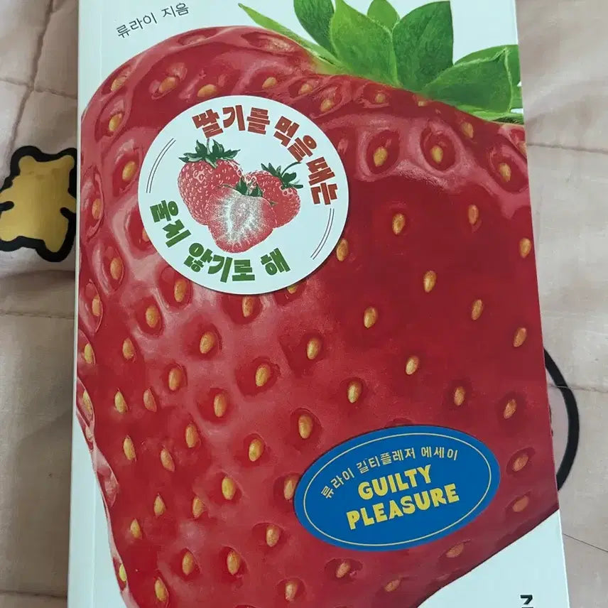 [BUNJANG] When Eating Strawberries, Don't Cry (by Ryu Rai) / 책 딸기를 먹을 때는 울지않기로 해 (류라이)