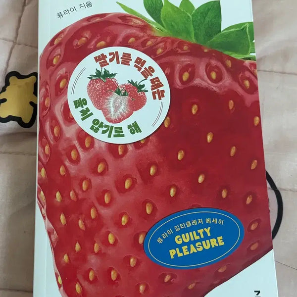[BUNJANG] When Eating Strawberries, Don't Cry (by Ryu Rai) / 책 딸기를 먹을 때는 울지않기로 해 (류라이)