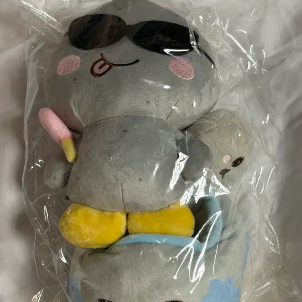 [BUNJANG] RIIZE Eunseok Songyongdori 20cm Plush (Sealed) / (미개봉) 라이즈 은석 송용돌이 20cm