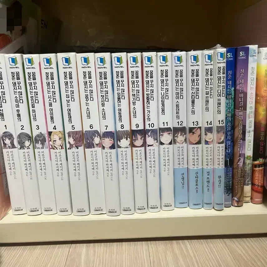[BUNJANG] The Pet Girl of Sakurasou Original Light Novel & Manga Complete Set / 청춘돼지 시리즈 원작 라노벨 소설 전권, 만화책 일괄