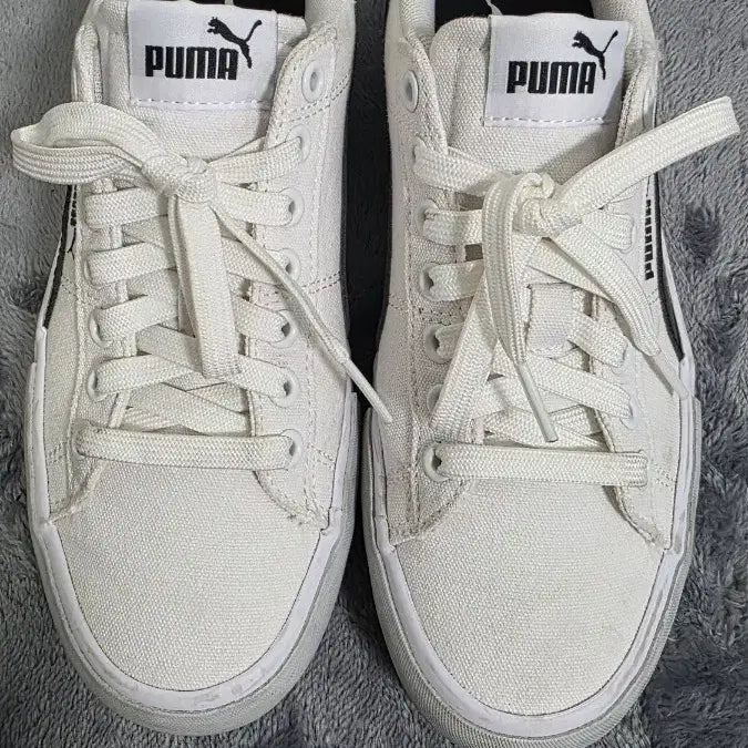[BUNJANG] Puma White Sneakers / 푸마 스니커즈 화이트