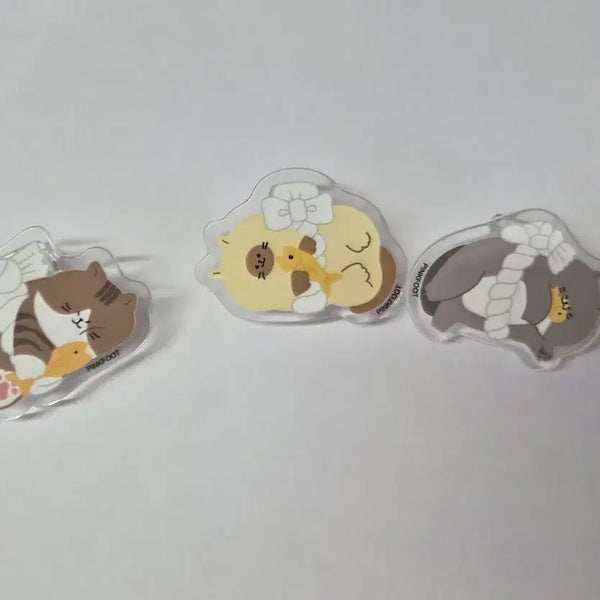 [BUNJANG] Cat Acrylic Clips Set (3 Types) / 고양이 아크릴 집게 3종 세트