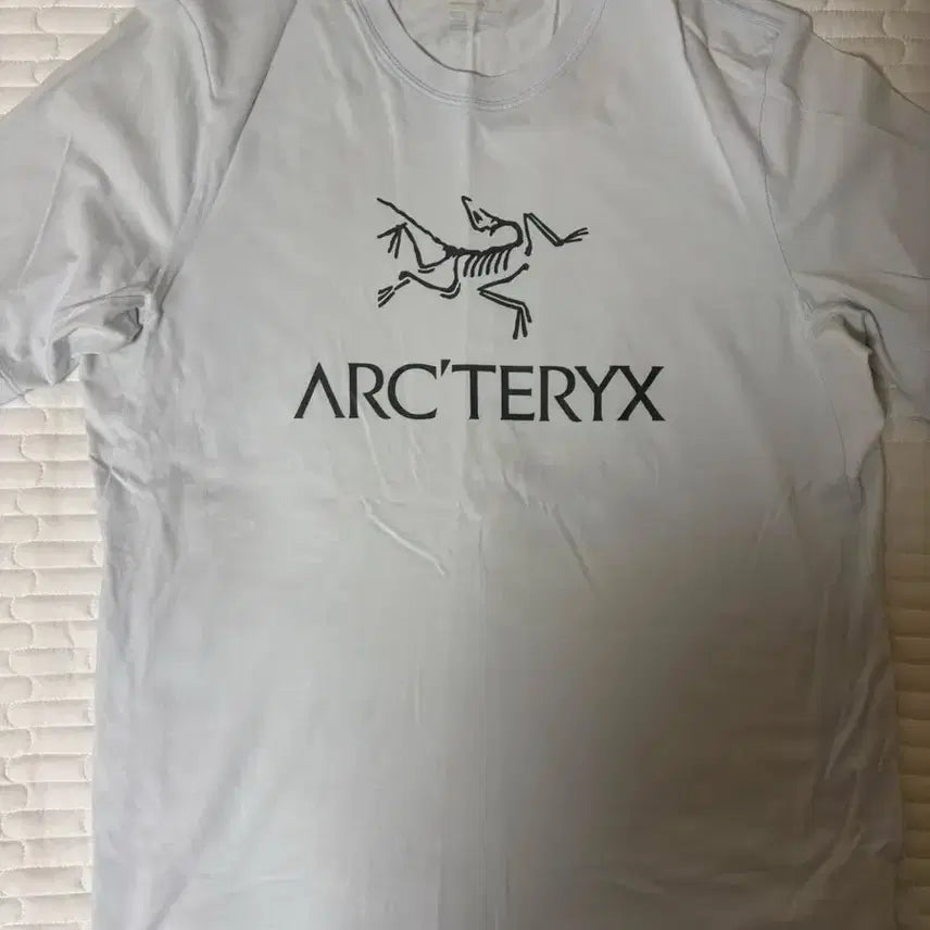 [BUNJANG] Arc'teryx Arcword T-shirt M Sky Blue / 아크케릭스 아크워드 반팔 M