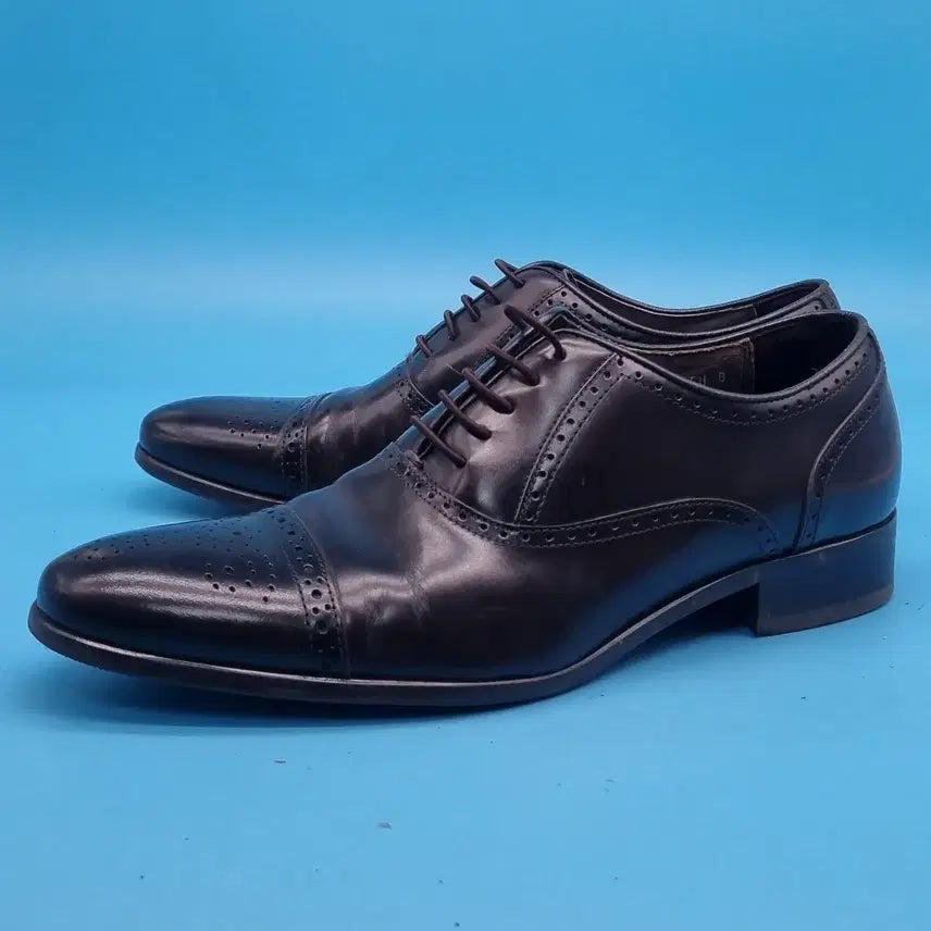 [BUNJANG] Soda Homme Men's Dress Shoes 255 / ll 소다옴므 남성정장구두 255