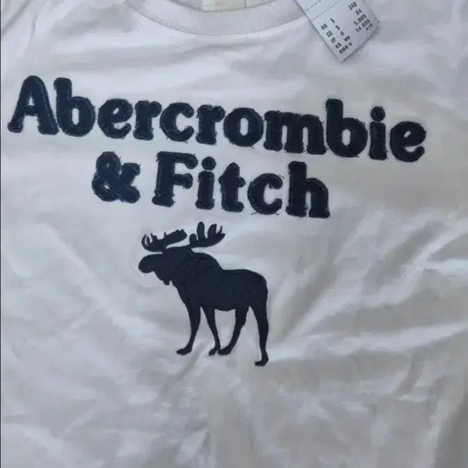 [BUNJANG] Abercrombie & Fitch Short Sleeve T-Shirt White Men's S (New) / 아베크롬비 반팔티 흰색 남성s(새상품)