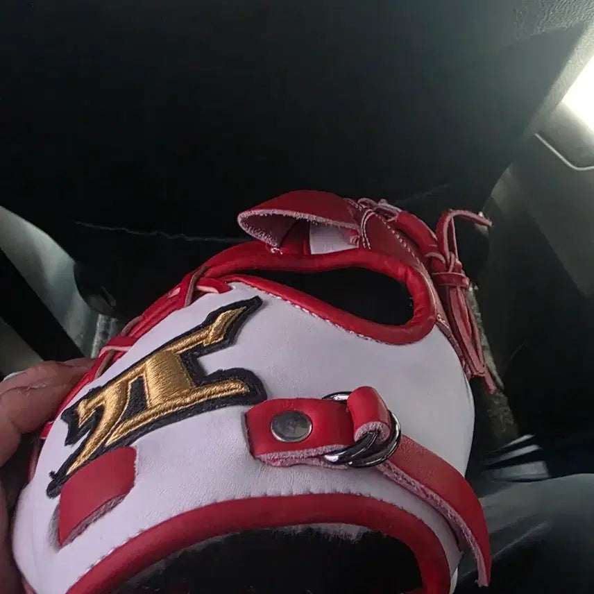 [BUNJANG] Just Baseball Glove / 저스트 투수글러브 팝니다