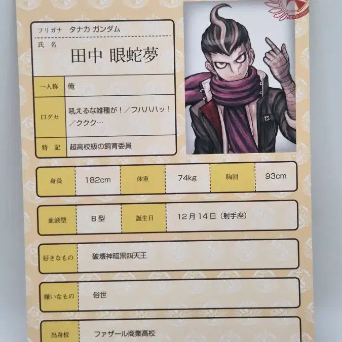 [BUNJANG] Danganronpa Tanaka Gandam Kijigamine Student Investigation Materials Paper / 슈퍼 단간론파 다나카 간다무 키보가미네 학생 조사 자료 페이퍼