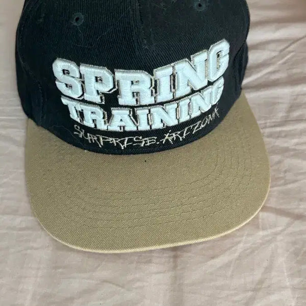 [BUNJANG] Nexen Heroes Spring Training Snapback Hat / 넥센히어로즈 스프링 트레이닝 스냅백모자