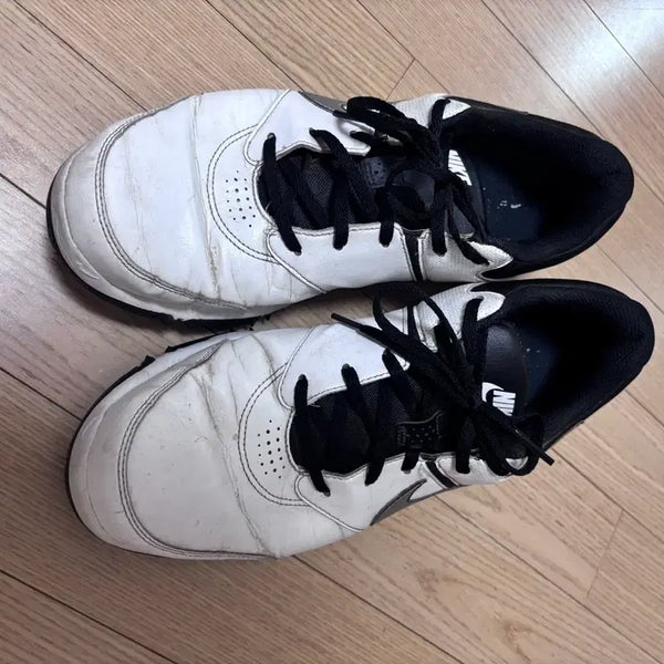 [BUNJANG] Nike Golf Shoes Size 290 / 나이키 골프화 290