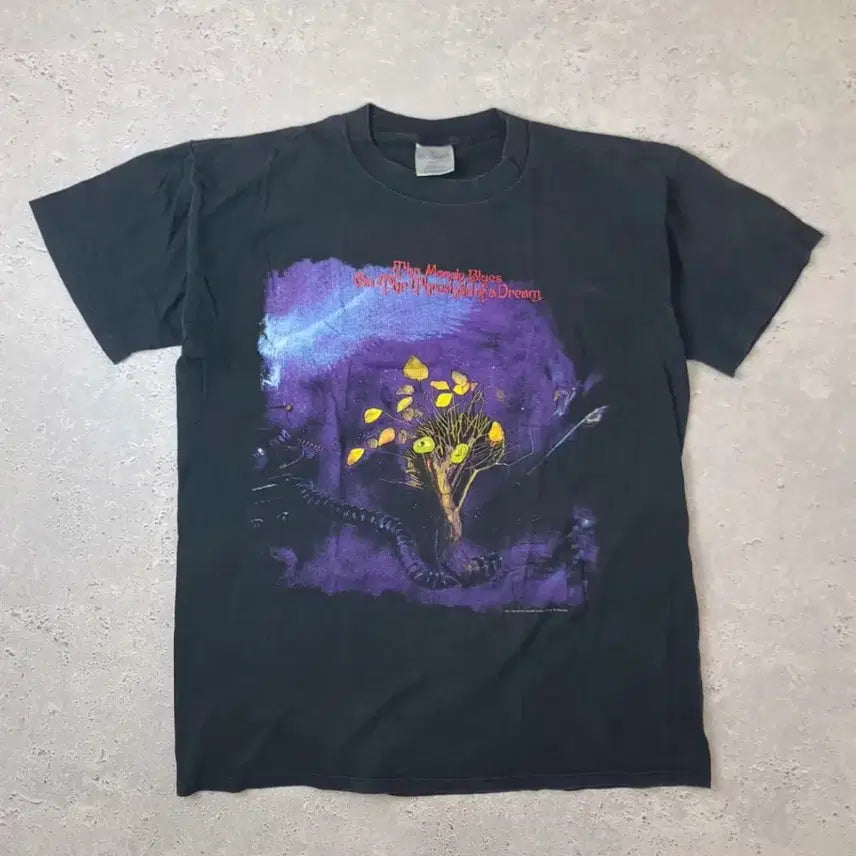 [BUNJANG] 90s Moody Blues Band T-Shirt / 90s 무디블루스 밴드티