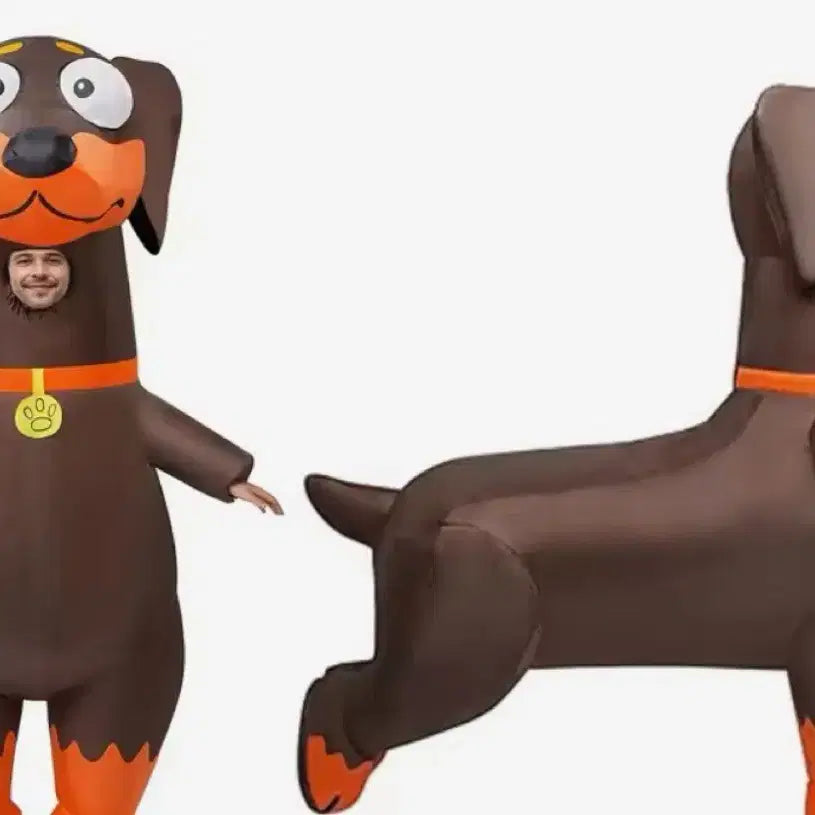 [BUNJANG] Dachshund Air Suit / 닥스훈트 에어슈트 보증금X