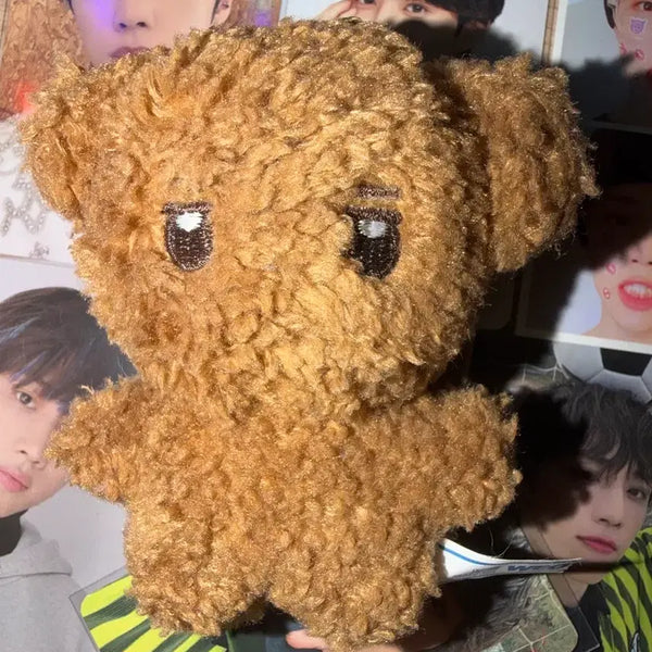 [BUNJANG] THE BOYZ Sunwoo Suncomi Doll / 더보이즈 tbz 선우 썬꼬미 인형 양도합니다!!!