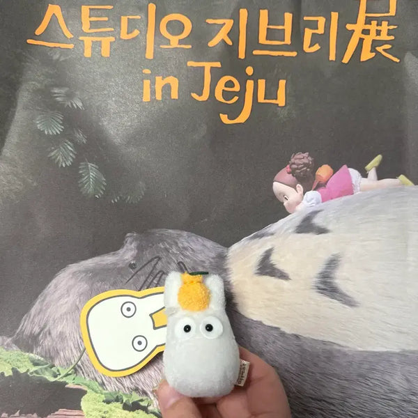 [BUNJANG] Ghibli Jeju Limited Edition Hallabong Sotororo Keyring / 지브리 제주 한정 한라봉 소토토로 키링