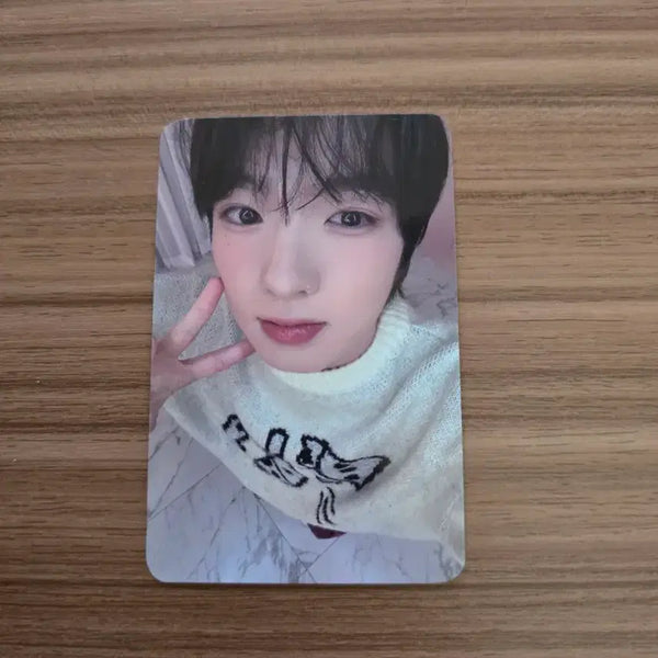 [BUNJANG] NCT WISH Sakuya Steady Jump Up POB Photocard / 엔시티위시 사쿠야 steady 점프업 특전 포토카드 양도