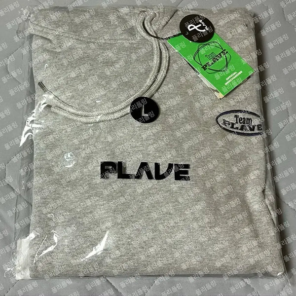 [BUNJANG] Teamplayve Gray Hoodie L Size / 팀플레이브 후드티 그레이