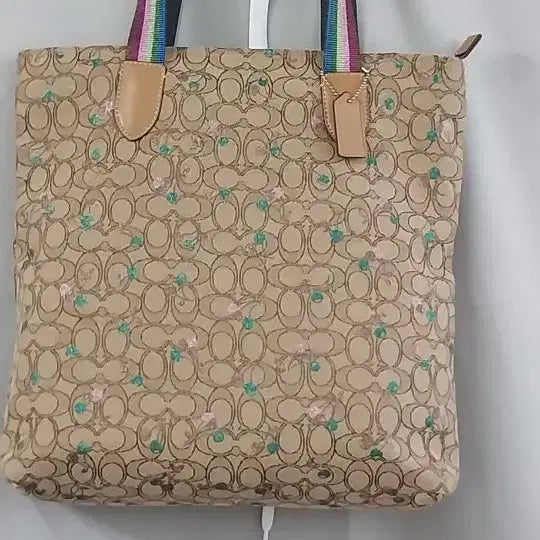 [BUNJANG] Coach Signature Rainbow Canvas Tote Bag / 코치 시그니처 레인보우 캔버스가방