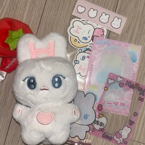 [BUNJANG] RuaBit ENetwork Harua Doll + Photocard Holder Bundle / (인형옷+포카홀더까지 덤 증정) 루아빗 앤팀 하루아 인형 판매
