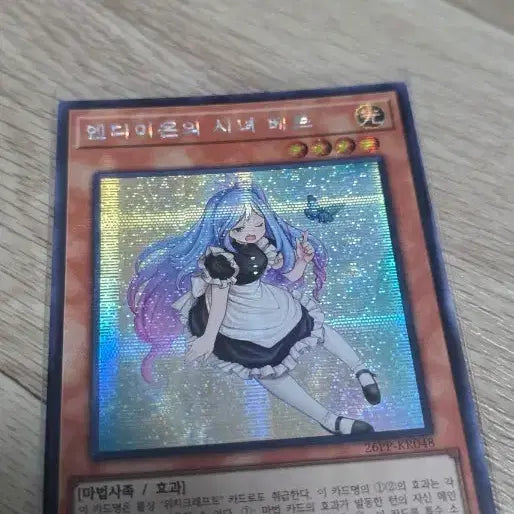 [BUNJANG] Yu-Gi-Oh! Witch of the Black Rose / 유희왕 시녀 베르 팝니다