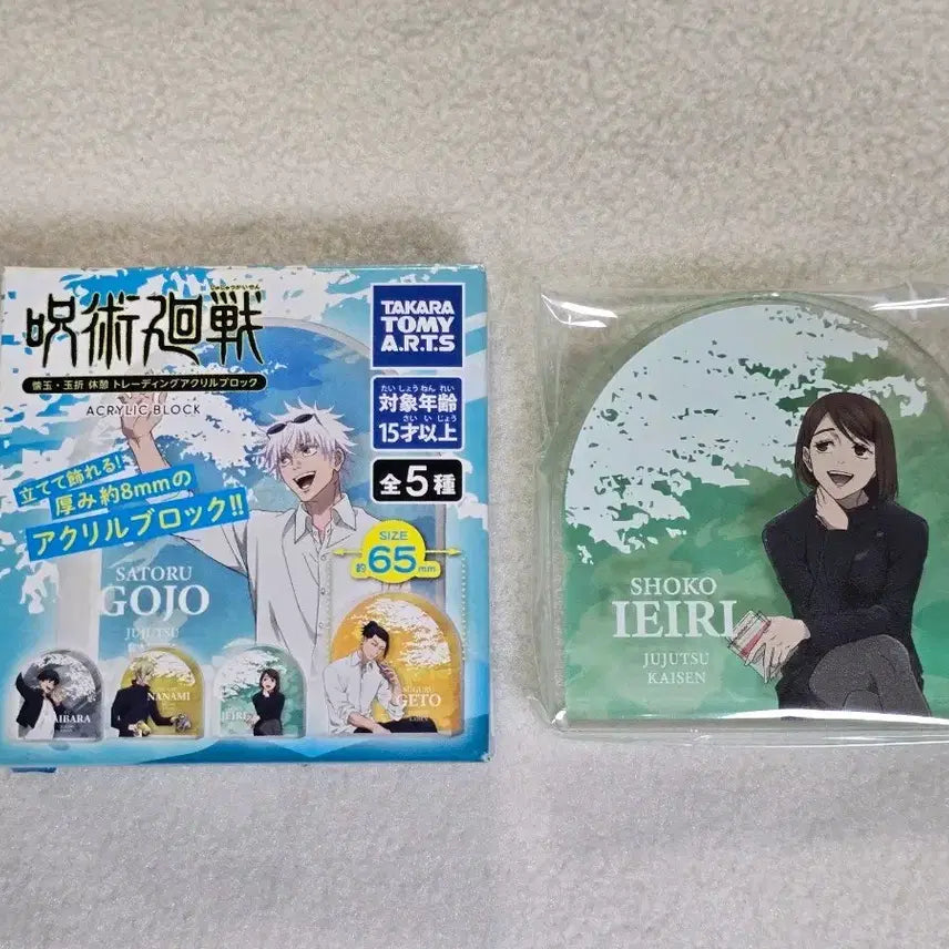 [BUNJANG] Jujutsu Kaisen Shoko Ieiri Kaigyoku/Gyokuchu Arc Acrylic Block / 주술회전 이에이리 쇼코 회옥옥절 아크릴 블록