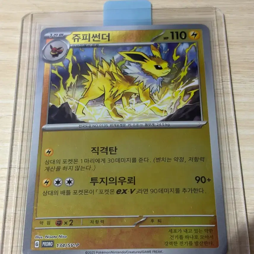 [BUNJANG] Pokemon Card Jolteon Promo / 포켓몬카드 / 쥬피썬더 프로모