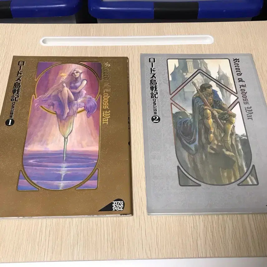 [BUNJANG] Record of Lodoss War OVA Artbook Set / 애니 로도스도 전기 OVA 기록집 설정집 아트북 화집 화보집 일러스트집