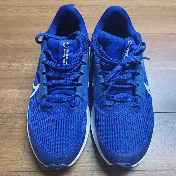 [BUNJANG] Nike Pegasus 40 Blue Running Shoes (235mm) / 나이키 페가수스 40 블루 235mm