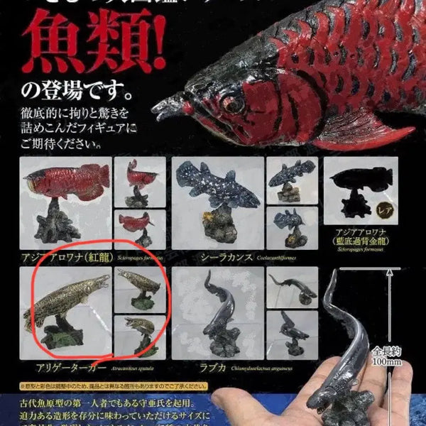 [BUNJANG] Bandai Living Creatures Big Encyclopedia Mini Ancient Fish Gacha Alligator Gar / 생물대도감 미니 고대어 가챠 엘리게이터 가아 판매합니다.