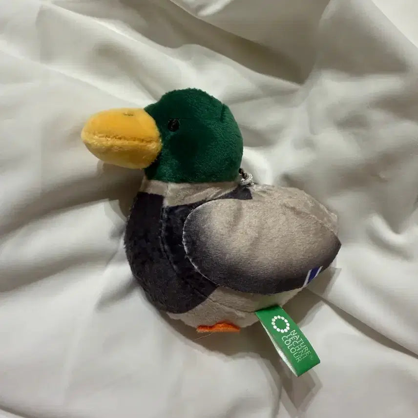 [BUNJANG] Duckling Plush Charm / 천둥오리 인형 키링