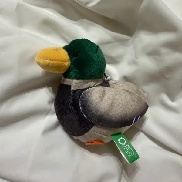 [BUNJANG] Duckling Plush Charm / 천둥오리 인형 키링