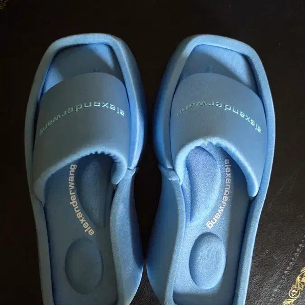 [BUNJANG] Alexander Wang Platform Sandals / 알렉산드왕 샌달
