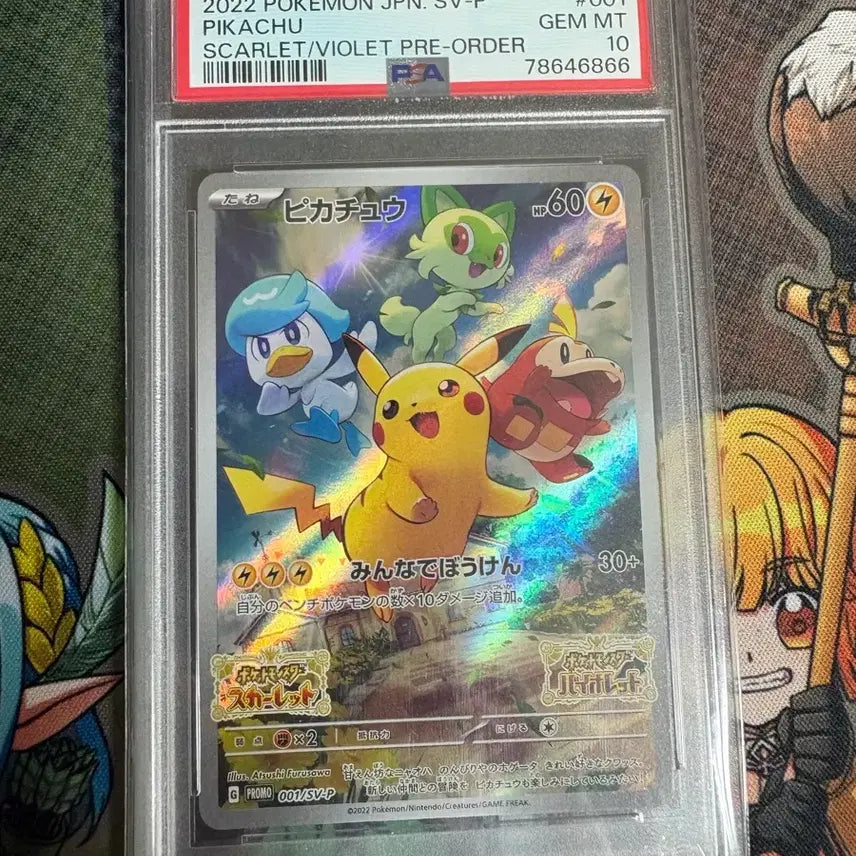 [BUNJANG] Pikachu Japanese PSA 10 Graded Card / 스바츄(피카츄) 일판 PSA 10등급 판매
