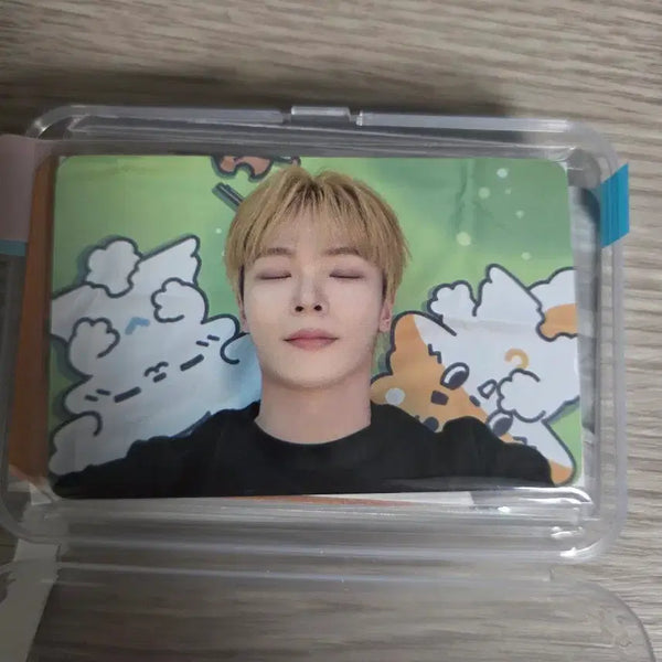 [BUNJANG] Shirupicnic Yechan Photocard / 시루피크닉 예찬 포카 양도합니다