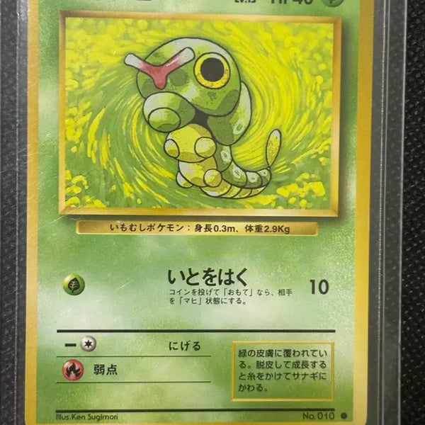[BUNJANG] Pokemon Caterpie 1st Edition Card / 포켓몬카드 캐터피 초판 카드
