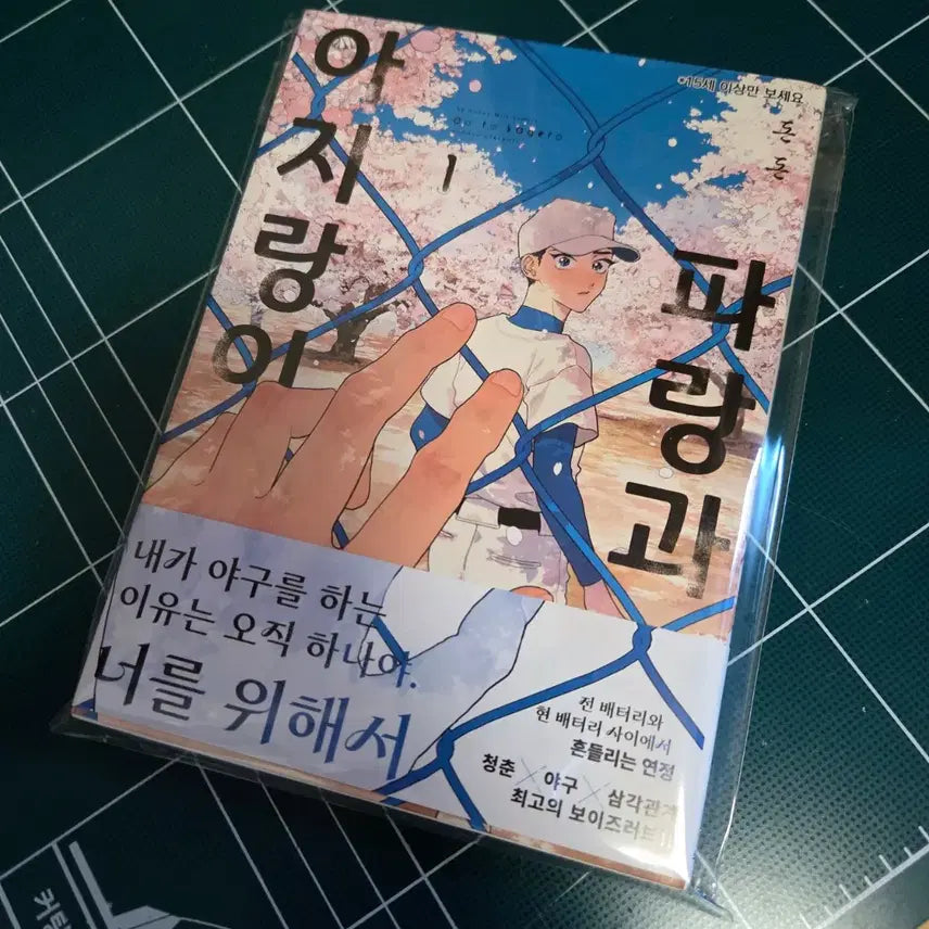 [BUNJANG] Blue and Haze Vol. 1 First Edition Soft BL Manga / 파랑과 아지랑이1 초판 소프트 bl만화