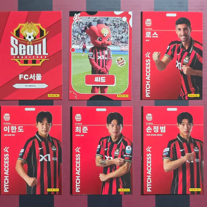 [BUNJANG] Panini K League Trading Cards FC Seoul 21-Card Set / 2026 파니니 K리그 트레이딩 카드 FC서울 21장(중복X)