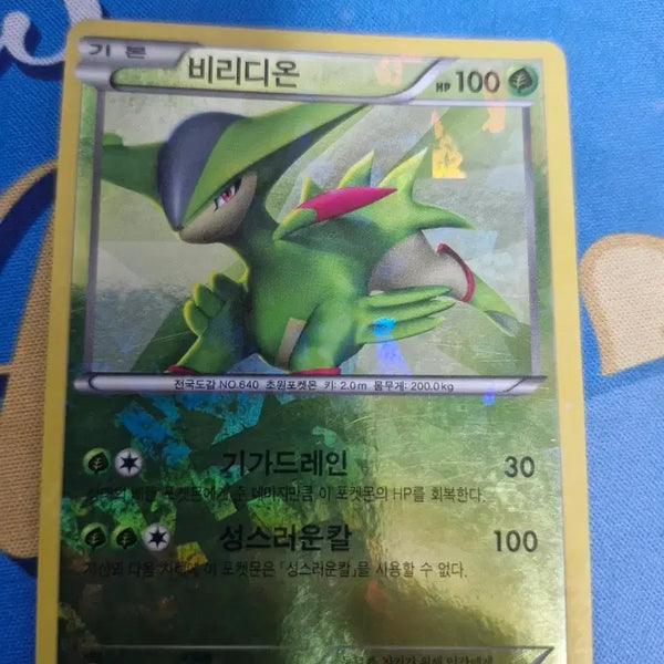 [BUNJANG] Viridian Holo Card / 비리디온 홀로카드