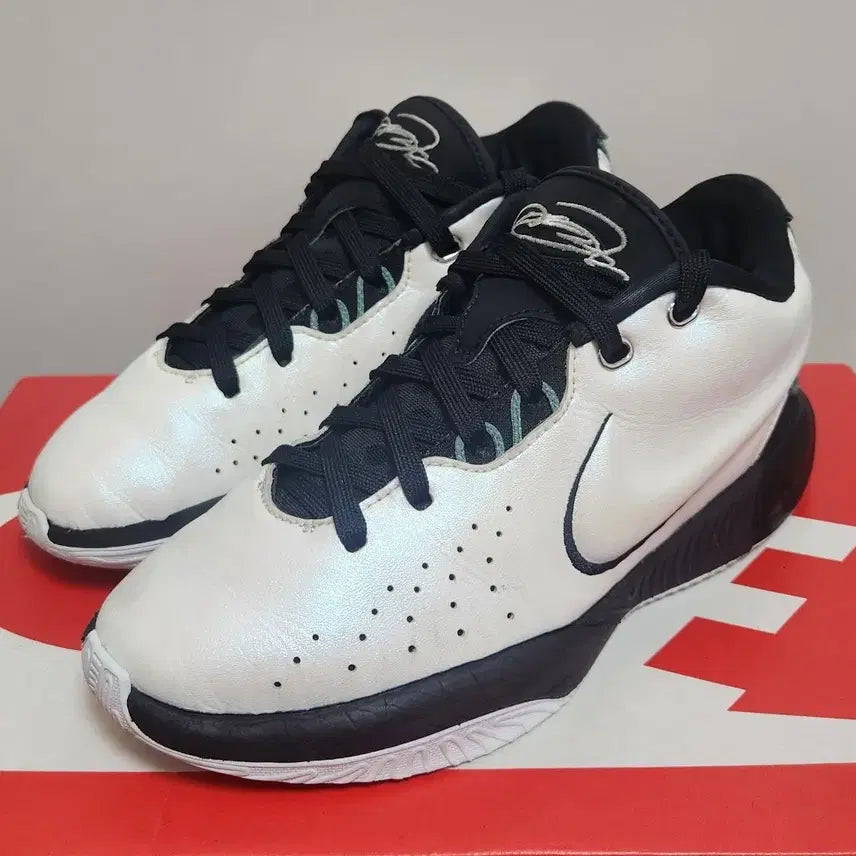 [BUNJANG] Nike LeBron 21 'Concholin' Basketball Shoes / 나이키 르브론 21 '콘치올린' 235mm 농구화