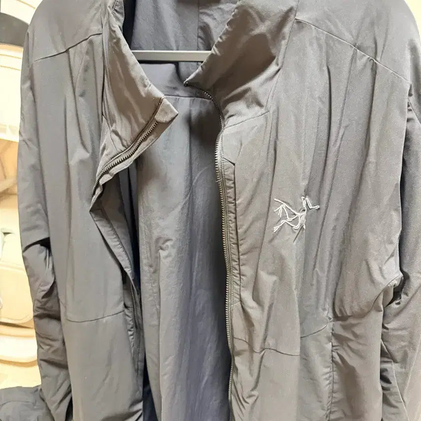 [BUNJANG] Arc'teryx Arrium Black - Large / 아크테릭스 알리움 (얼리움) BLK - Large