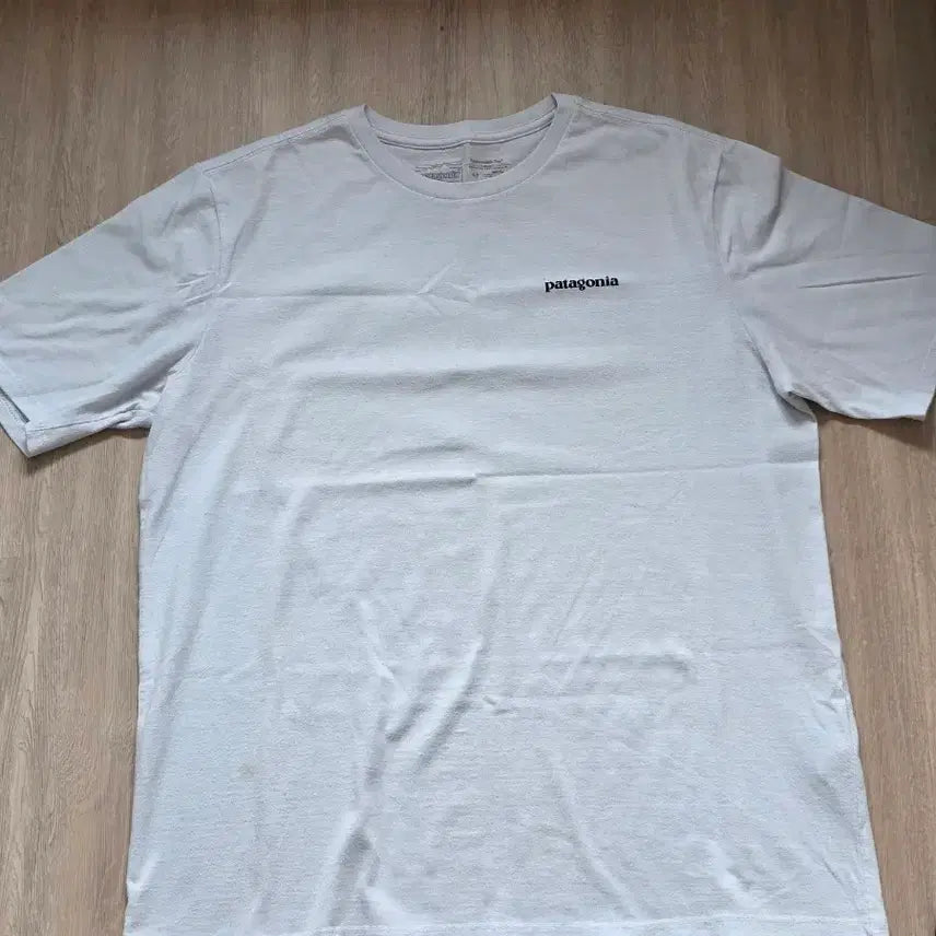 [BUNJANG] Patagonia T-Shirt XL / 파타고니아 반팔 XL