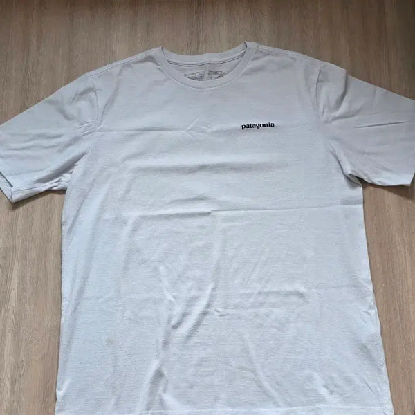 [BUNJANG] Patagonia T-Shirt XL / 파타고니아 반팔 XL