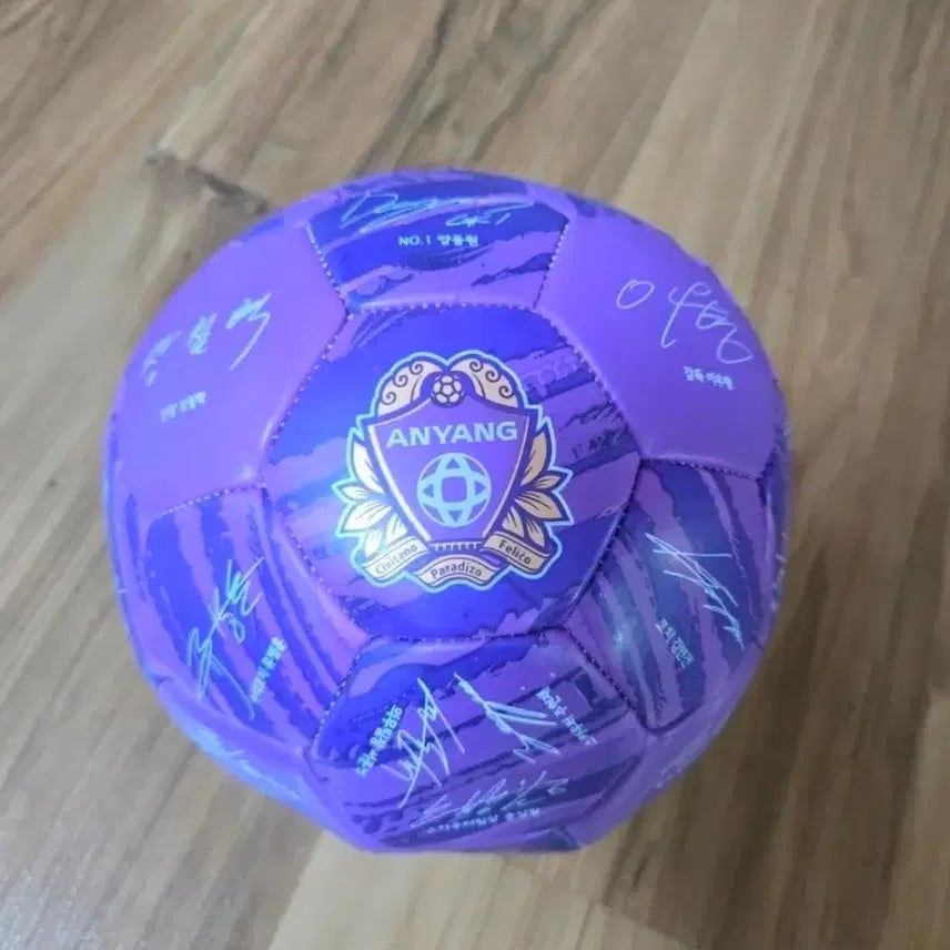 [BUNJANG] FC Anyang 22 Season Signed Soccer Ball / 22시즌 FC안양 축구공 싸인볼
