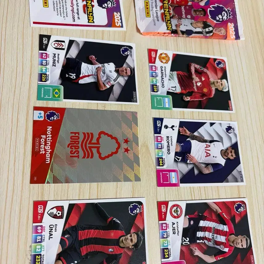 [BUNJANG] Panini Adrenalyn XL Premier League 2025 Football Cards / 파니니 아드레날리XL 프리미어리그 2025 축구 카드