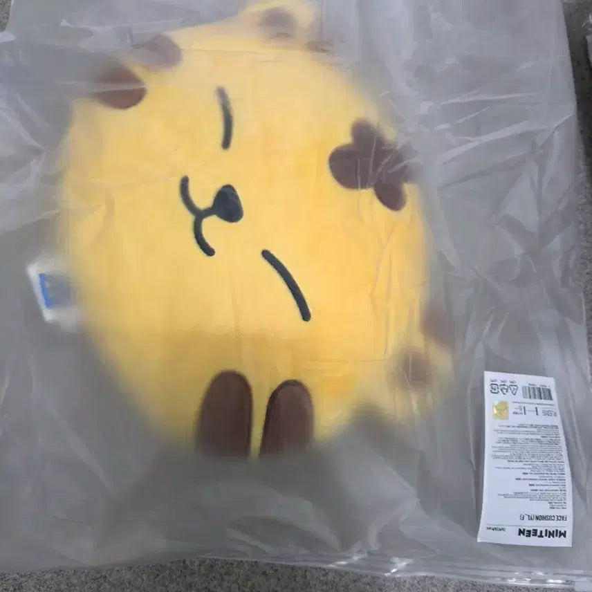 [BUNJANG] SEVENTEEN Hoshi Tamtam Character Face Cushion / 세븐틴 멤버 호시의 캐릭터인 탐탐이(Tamtam) 페이스 쿠션