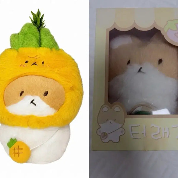 [BUNJANG] Baekhyun 20cm Doll + Pineapple Outfit Bundle Set / 백현터래기인형20cm  + 파인애플옷 일괄양도