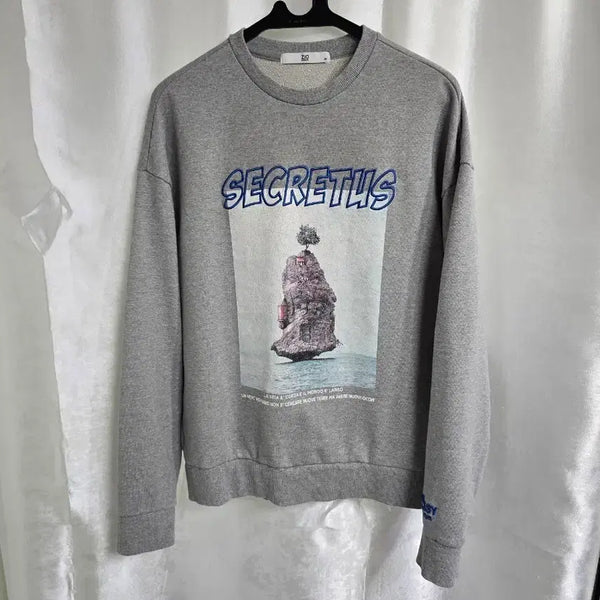 [BUNJANG] Ziozia Graphic Sweatshirt Grey / 지오송지오 그래픽 맨투맨 그레이 (2283)