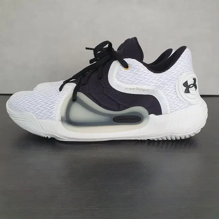 [BUNJANG] Under Armour Anatomix Spawn 2 Basketball Shoes (285) / 언더아머 아나토믹스 스폰 2 (285)