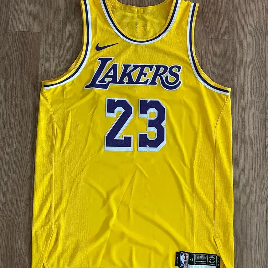 [BUNJANG] Nike NBA LA Lakers LeBron James 2019-20 Authentic Home Jersey / 나이키 Nike NBA LA 레이커스 르브론 제임스 2019/29 어센틱 져지