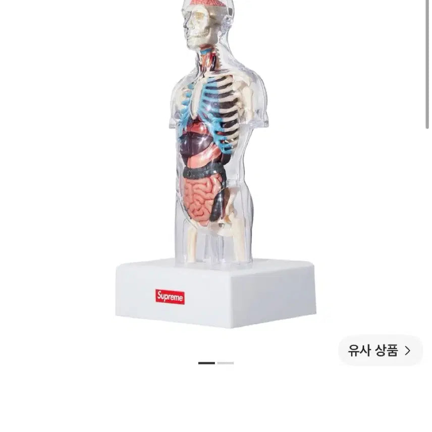 [BUNJANG] Supreme Mail Anatomy Model Beanie 18FW / (OS) 슈프림 메일 아나토미 모델 클리어 해부학 남성 18FW